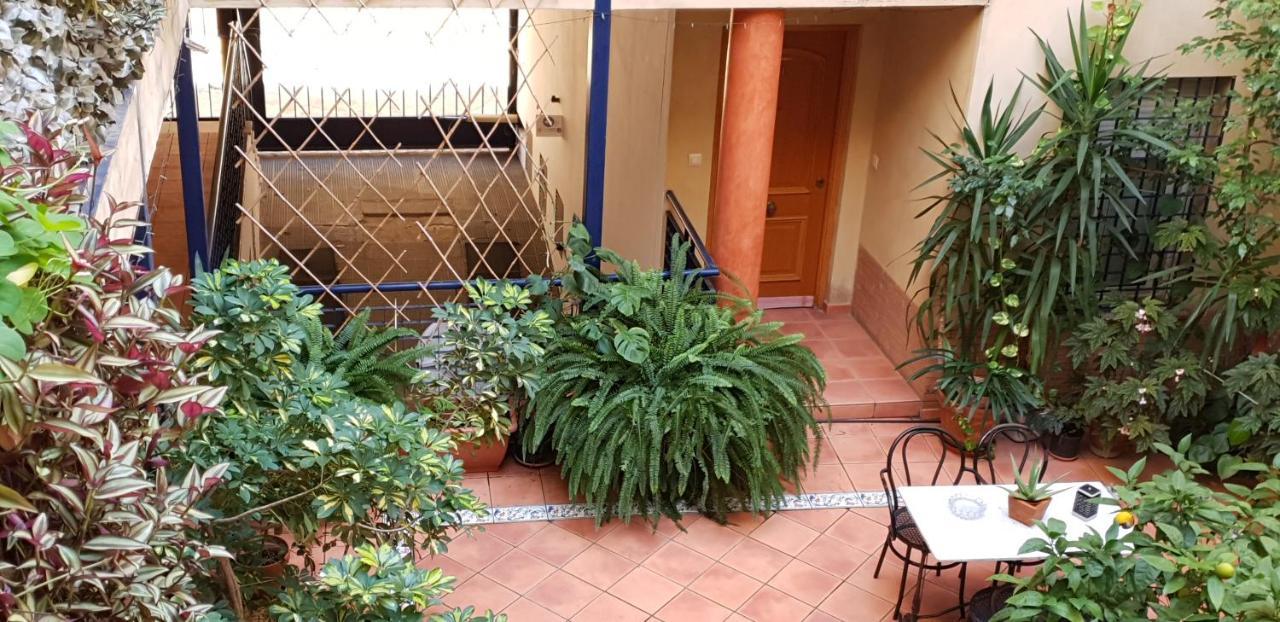 Apartamentos Sevilla Exterior photo